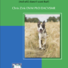 Discovering Your Dog Cover